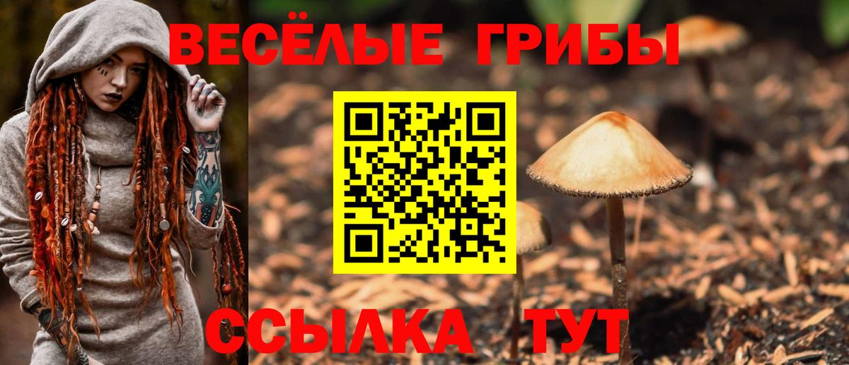 Когалым  Галлюциногенные грибы Psilocybine cubensis  Псилоцибиновые грибы GOLDEN TEACHER  Вход с VPN 